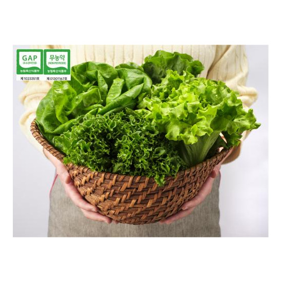 [도시의 푸른농장][롯데홈쇼핑&도시의푸른농장] 1kg 무농약 GAP인증 유러피안 샐러드 (3종 혼합) 로메인 프릴아이스 버터헤드 바타비아 상추