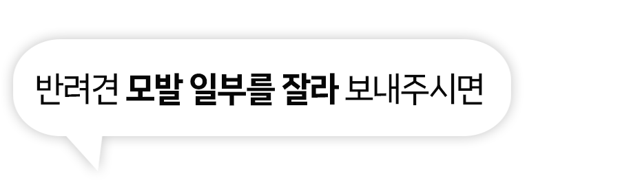 상세페이지_14