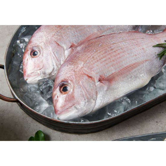 [빅마마]빅마마 이혜정의 국내산 참돔 400g x 8미