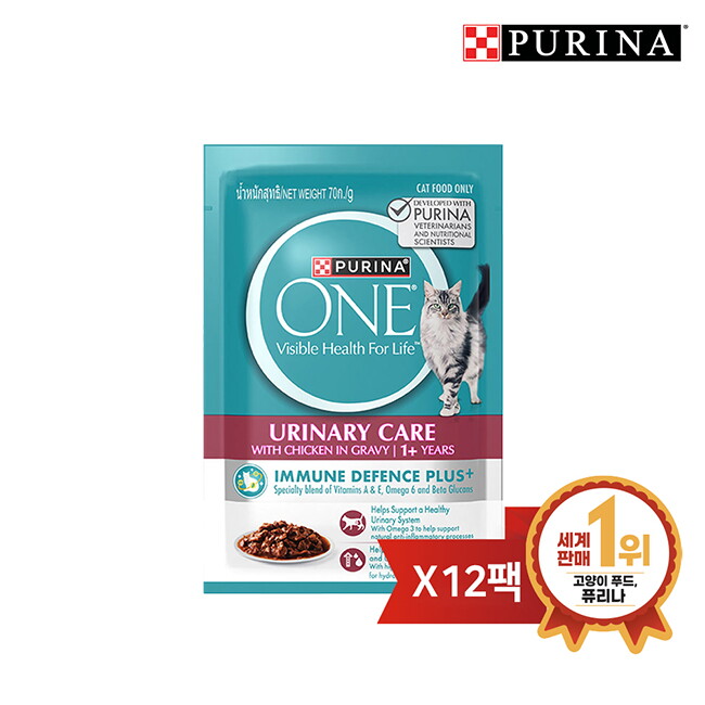 브이펫 원 캣 습식 파우치 비뇨기계관리 70g 12팩
