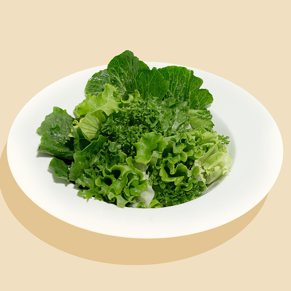 무풍지대 GAP인증 유러피안 샐러드 4종 최저가!