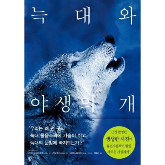 울부짖는 늑대 새끼들 늑대(Wolf) 또는 회색 늑대(Grey