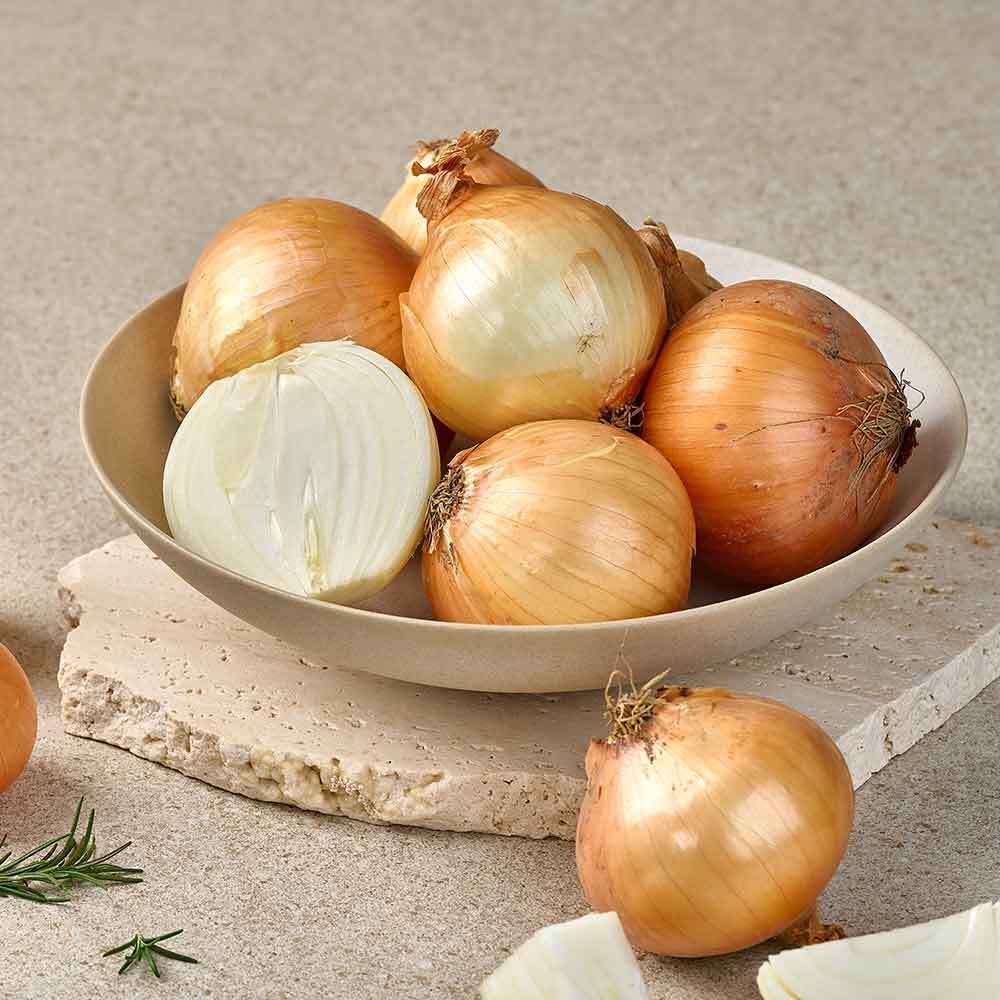 더자인 더자인 [더자인] 브랜드위크 인기 상품 모음 (양파, 당근, 다진마늘 등)