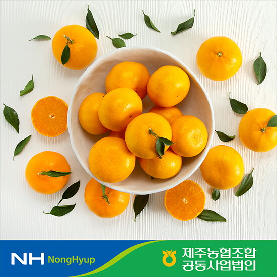 [귤로장생]제주농협 귤로장생 제주 햇 천혜향 2kgx2박스, 총 4kg