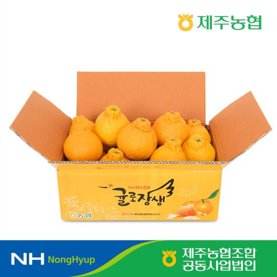 [귤로장생]제주농협 귤로장생 한라봉 4kg 소과 20-26입 당도선별