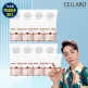 [셀라보][롯데단독/25년 마지막 방송]셀라보 선크림 25년 종료 패키지[셀라보 선크림 60g*8]