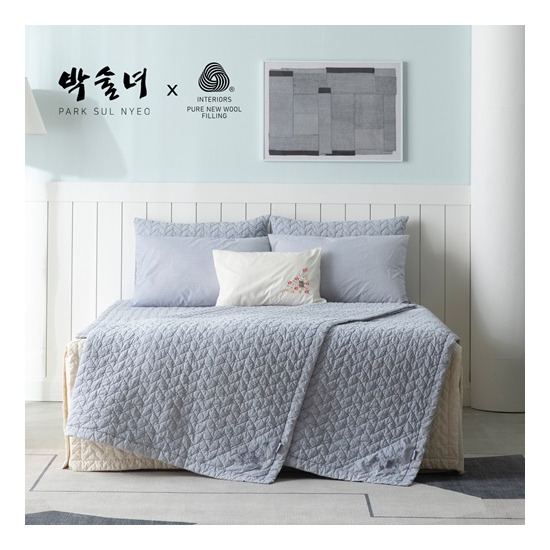 [박술녀][방송구성/OneTV][Q]호주산 양모 피그먼트 이불 겸 패드 2장 + 순면 피그먼트 베개커버 2장 