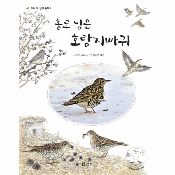 보리(주) 이노플리아 홀로 남은 호랑지빠귀
