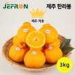 [퐝규의 오늘만 산다] 청정제주 제프런 한라봉 3kg