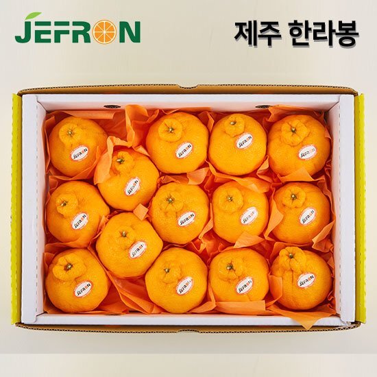 [퐝규의 오늘만 산다] 청정제주 제프런 한라봉 3kg