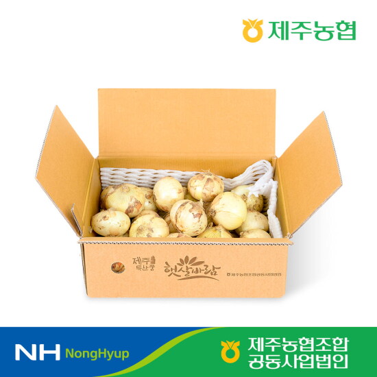 [햇살바람]제주농협 조생양파 4kg 특대과 혼합 농협선별