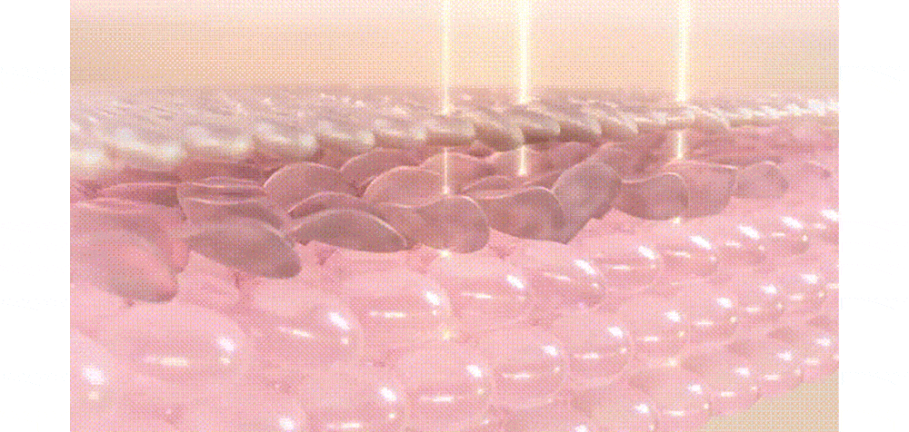 프로틴팩_상세_4차_1_08-min.gif