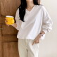[올리비에클로짓(OLIVIERs CLOSET)][올리비에스클로젯] 베이직 브이넥 맨투맨 티셔츠_O2509TS164C