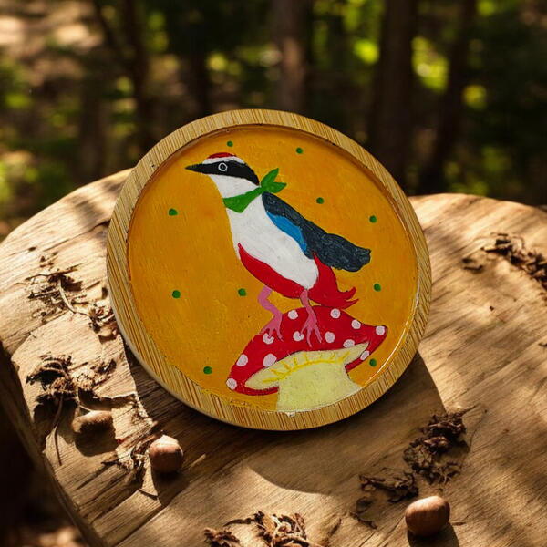 에듀팜몰 아트박스 아트박스/에듀팜몰 멸종위기종 조류 원형 우드코스터 시리즈 DIY 키트