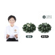 [이종임]이종임 모시떡 세트 (동부모시떡 400g 6팩 + 흑임자모시떡 350g 4팩, 총 100알)
