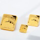 [아시아골드][아시아골드] 콜로세움 24k 순금 잠상 스퀘어 골드바 10g