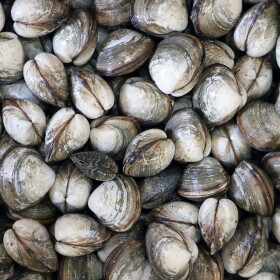 국내산 동죽 2kg + 칼국수 2팩