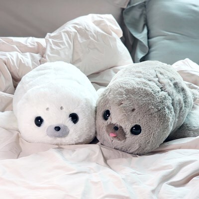 텐바이텐 보들보들 하프물범