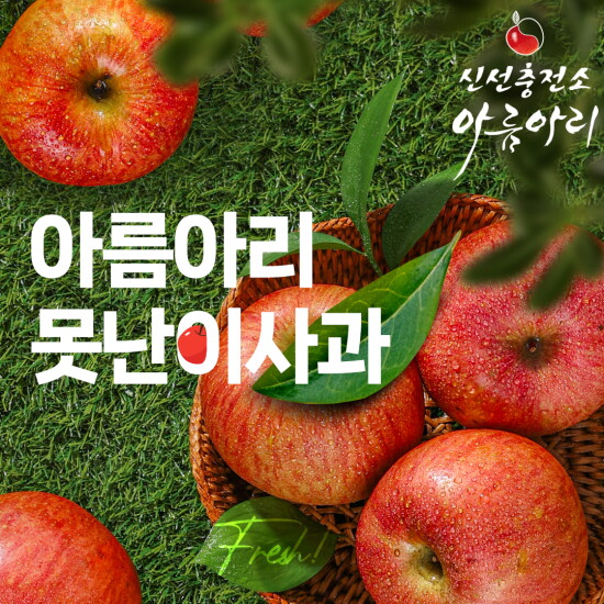 [아름아리]방송에서만!! 아름아리 못난이 사과 3kg x 2박스, 총 6kg