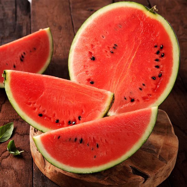 교보문고 신선플레이 자연예서 고당도 꿀수박 7kg