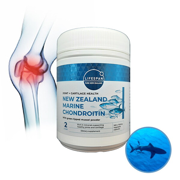 라이프스팬 라이프스팬 상어연골 콘드로이친 뉴질랜드 마린콘드로이친 750mg 300정