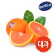 썬키스트 카라카라 오렌지 대과 20개입 4.7kg 내외