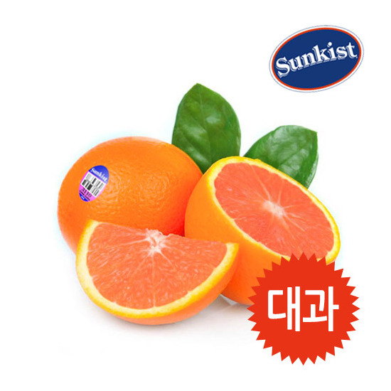 썬키스트 카라카라 오렌지 대과 20개입 4.7kg 내외