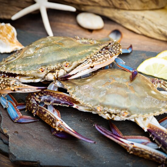 신진도 선동 암꽃게 800g*3팩, 총2.4kg