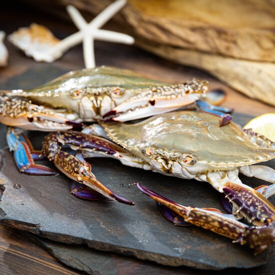 신진도 선동 암꽃게 800g*3팩, 총2.4kg