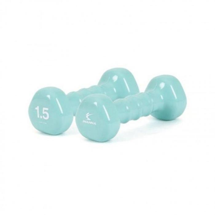 상품페이지 참조 에이엔몰 삼각아령 1.5kg PVC (네오민트) STT (456cs)