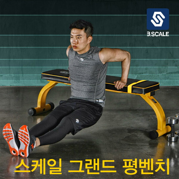 기타브랜드 [반석스포츠][비에스] 스케일 그랜드 평벤치 [상체운동/다이어트/헬스]