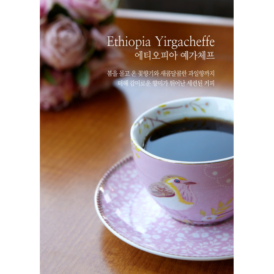 [보헤미안 박이추커피] 트라이 SET (원두 100g씩 * 3팩)