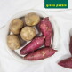 [그린퍼즐](그린퍼즐) 베니하루카 고구마 2Kg 수미 감자 2kg (1kg x 4개)