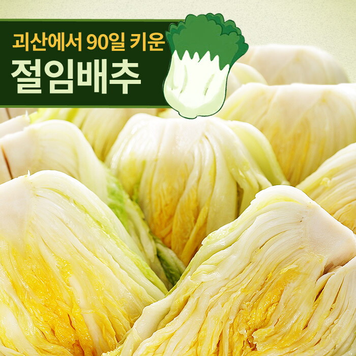 신우철농가 명가일품 [지정일출고] 90일자란 괴산 절임배추 20kg