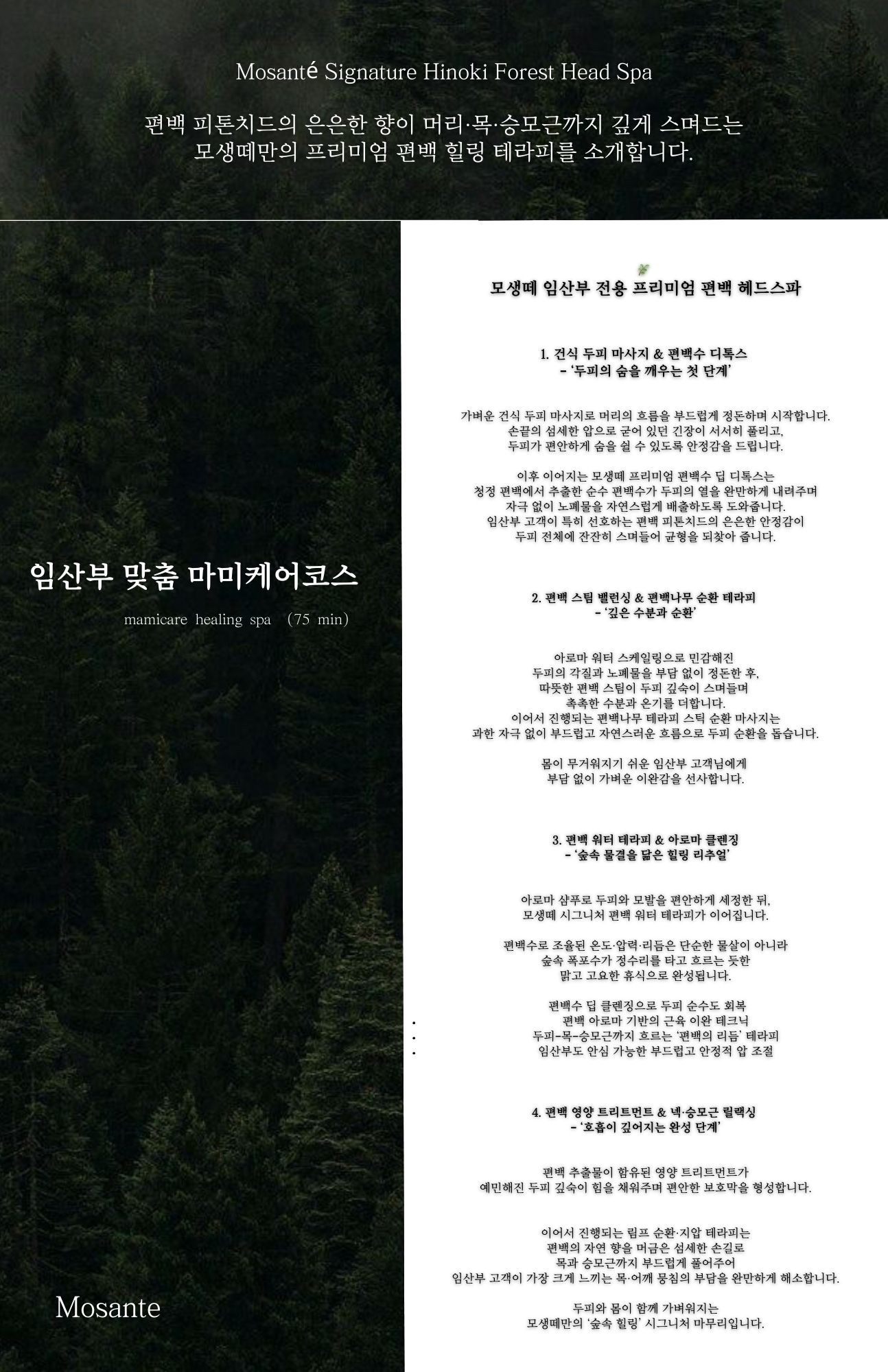 모생떼 자료