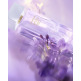 [엘리자베스아덴]화이트티 오 라일락 EDT 100ml 1+1세트