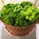 [도시의 푸른농장][단독구성][도시의푸른농장]유러피안 샐러드 2kg