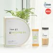 [업그레이드]돌러 바이오 단백질 300포(소프트 그레인맛)