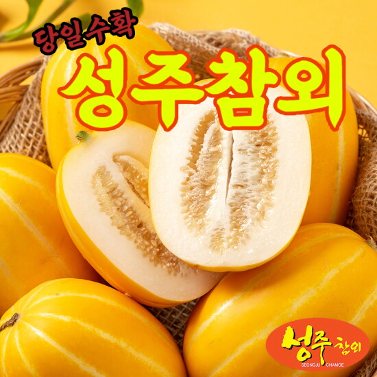 [백가참외][백가참외] 100% 성주 꼬마 참외 5kg