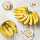 [돌][Dole 본사직영] 스위티오 바나나 3송이 3.9kg (개당 1.3kg 내외)