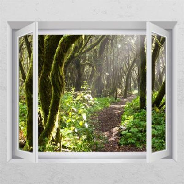 꾸밈 교보문고 꾸밈 bh736-동화같은숲속길 창문그림액자