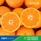 [귤로장생]제주농협 귤로장생 카라향 2kg 소과 16-25입 당도선별