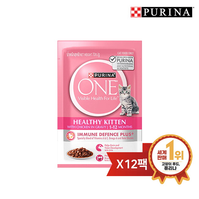 브이펫 원 캣 습식 파우치 키튼 70g 12팩