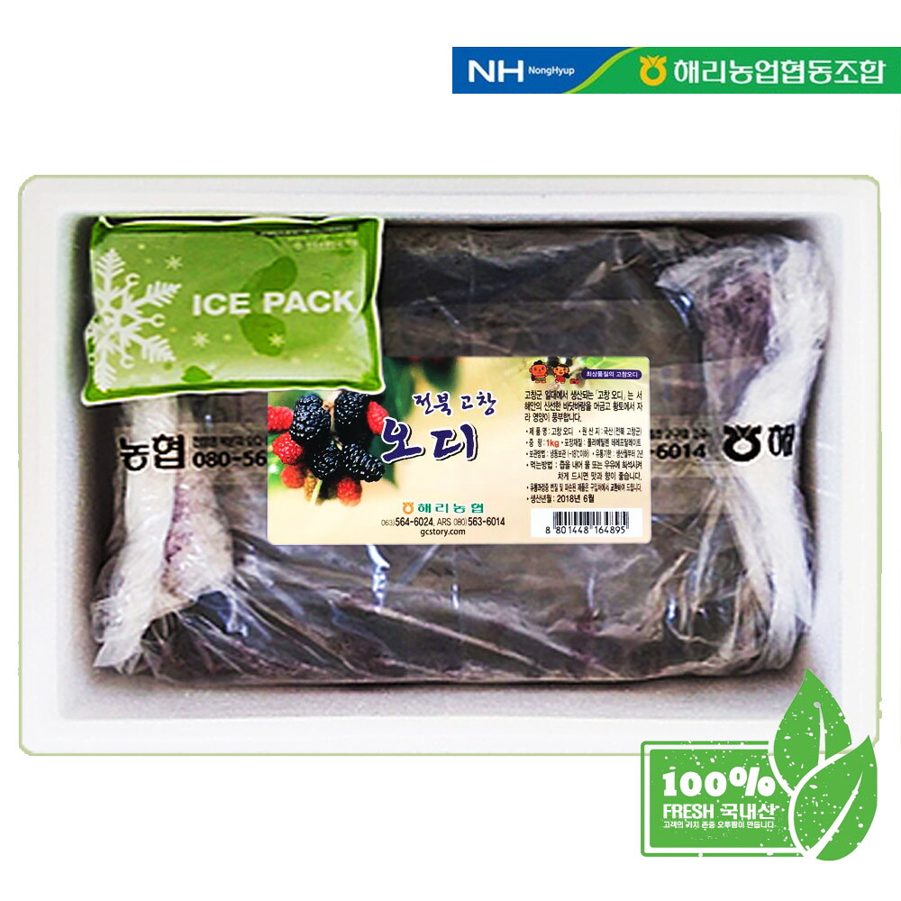 고창오디 22년 고창 햇 오디 냉동생과 과상2호 10kg