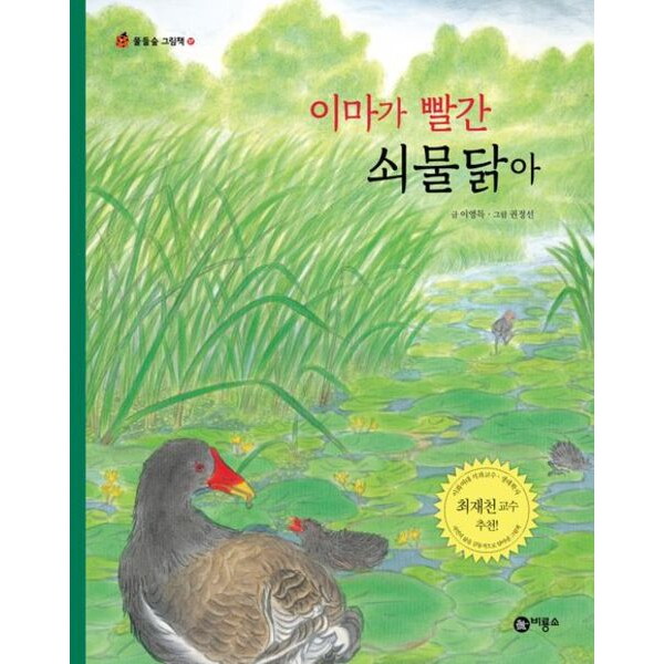 비룡소 이마가 빨간 쇠물닭아 (물들숲 그림책 17)[양장]