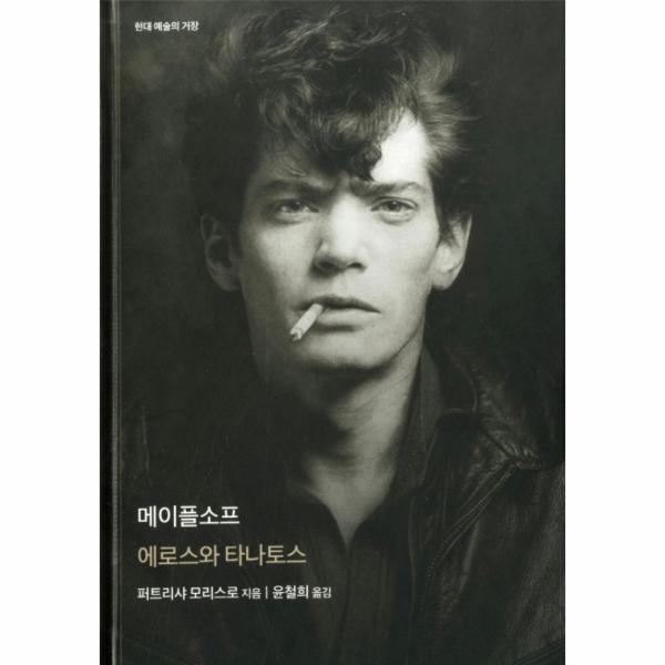 월드북 메이플소프 (현대 예술의 거장)