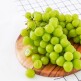 [중화농협]상주중화농협 샤인머스켓 특품 1.5kg 2-3수