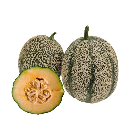 칸탈로프 메론 5kg