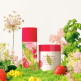 [엘리자베스아덴]NEW 그린티 스트로베리 바질 EDT 100ml 세트(+바디로션 추가구성)
