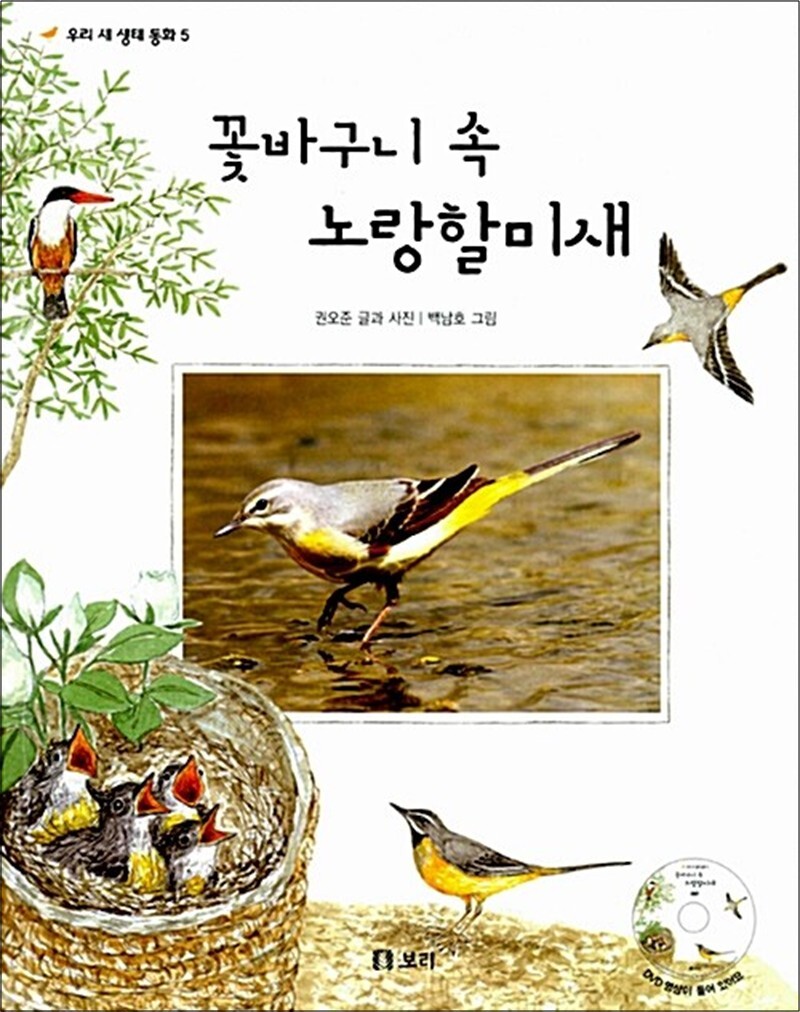 봄봄북스 [봄봄북스] 꽃바구니 속 노랑할미새 (책   DVD 1장)